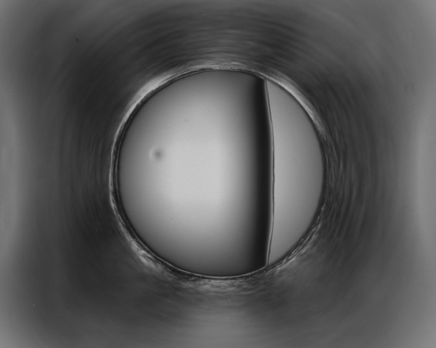 X0000086900861200704160945