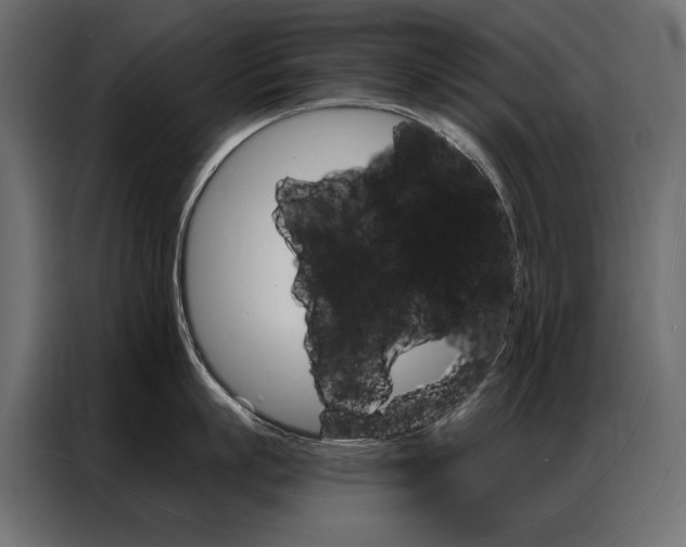 X0000086900863200704160945