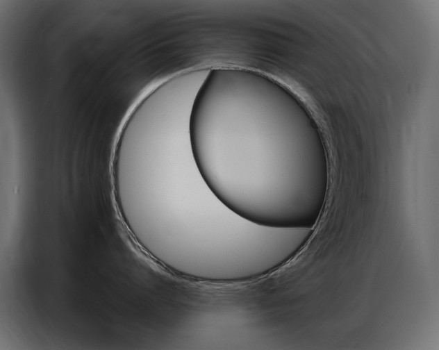 X0000086900864200704160945