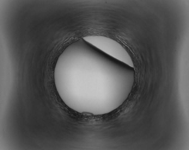 X0000086900865200704160945