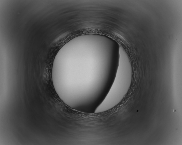 X0000086900869200704160944