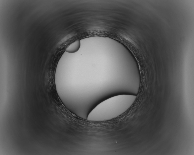 X0000086900870200704160944