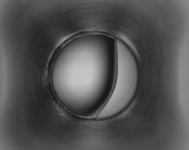 X0000086900876200704160944
