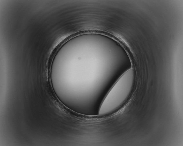 X0000086900877200704160944