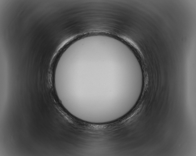 X0000086900878200704160944