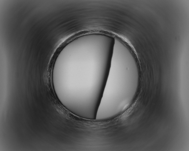 X0000086900879200704160944