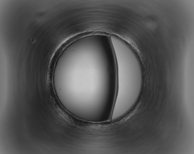X0000086900880200704160944