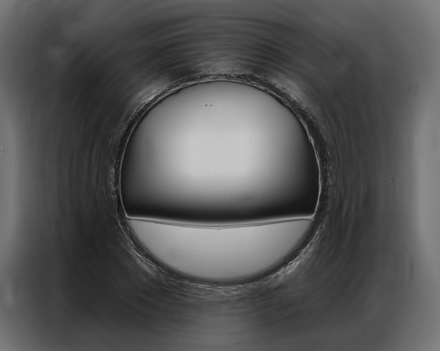 X0000086900881200704160944