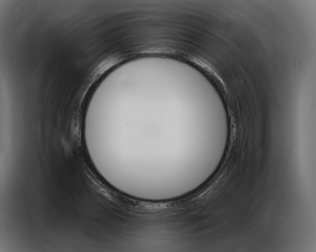 X0000086900882200704160944