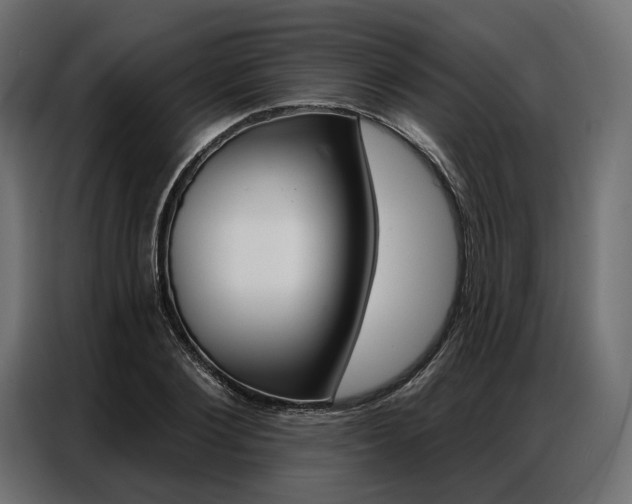 X0000086900884200704160944
