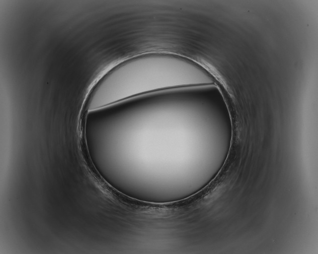 X0000086900885200704160944