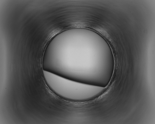 X0000086900889200704160944