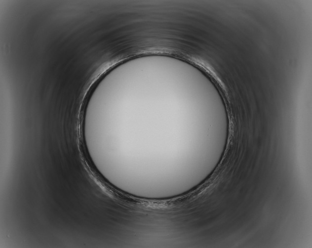 X0000086900890200704160944