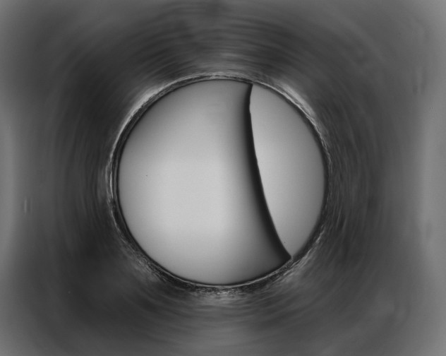 X0000086900891200704160944