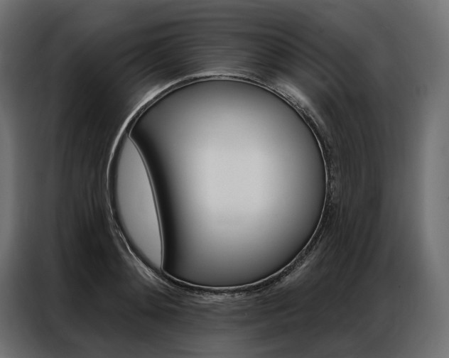 X0000086900892200704160944