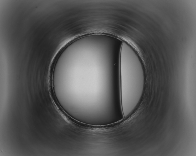 X0000086900894200704160944