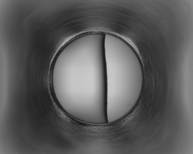 X0000086900895200704160944