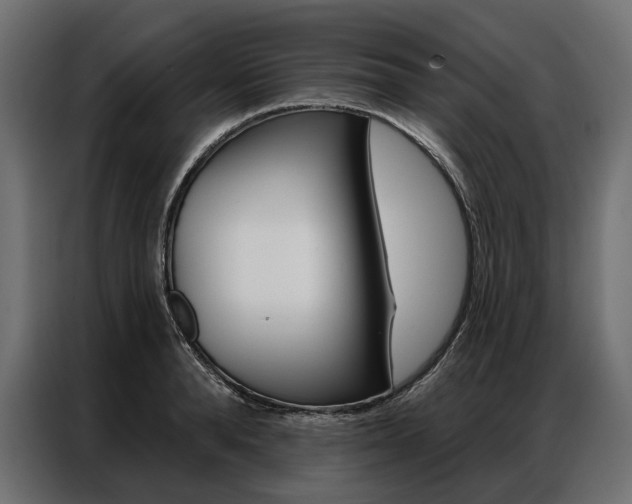 X0000086900896200704160944