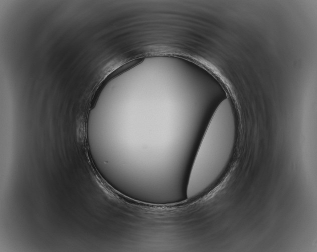 X0000086900897200704160944