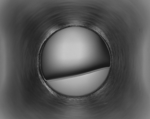 X0000086900898200704160944
