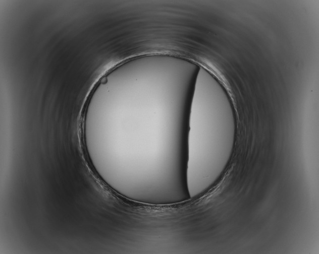 X0000086900899200704160944