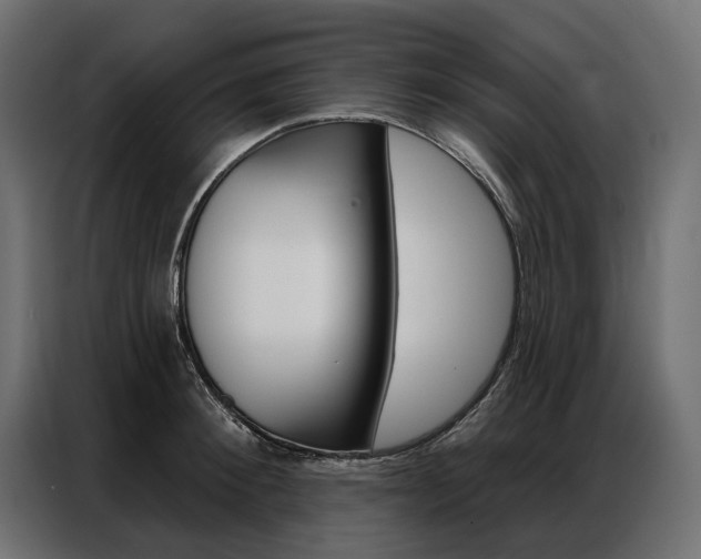 X0000086900900200704160944