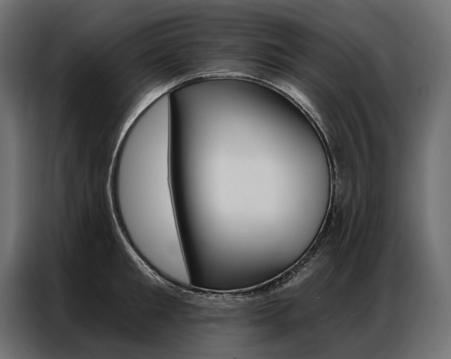 X0000086900901200704160944