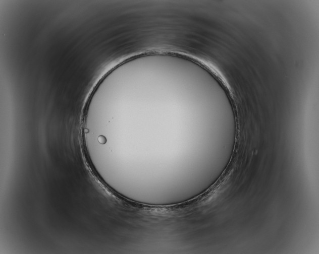 X0000086900903200704160944