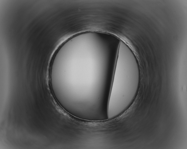 X0000086900904200704160944