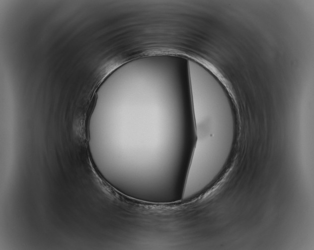 X0000086900905200704160944