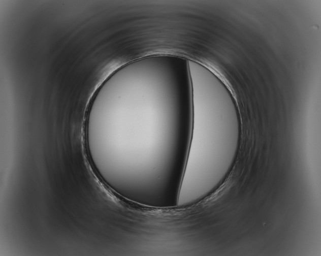 X0000086900906200704160944