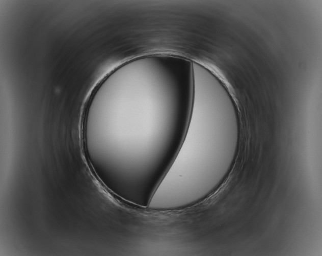 X0000086900910200704160944