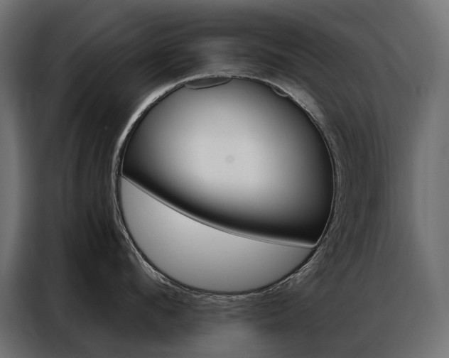 X0000086900912200704160944