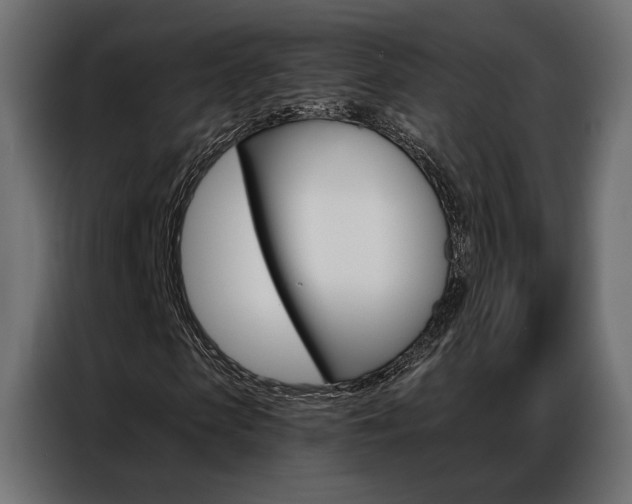 X0000086900913200704160943