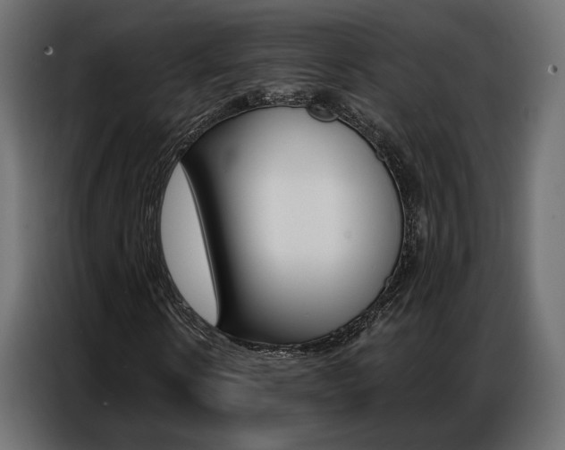 X0000086900914200704160943