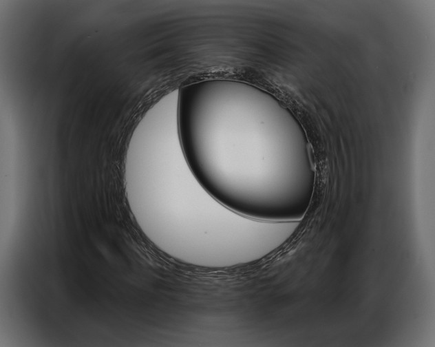 X0000086900916200704160943