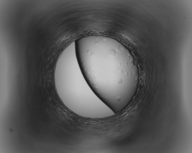 X0000086900917200704160943