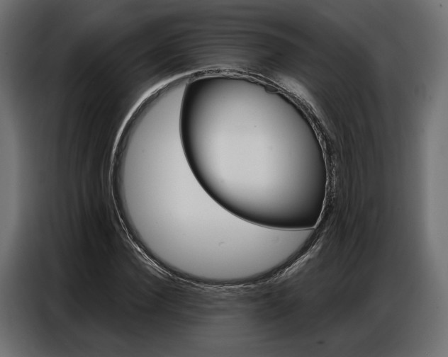 X0000086900924200704160943