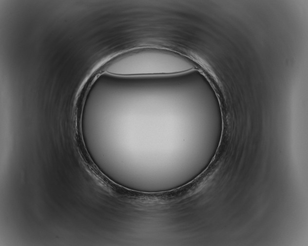 X0000086900931200704160943