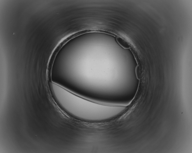 X0000086900932200704160943