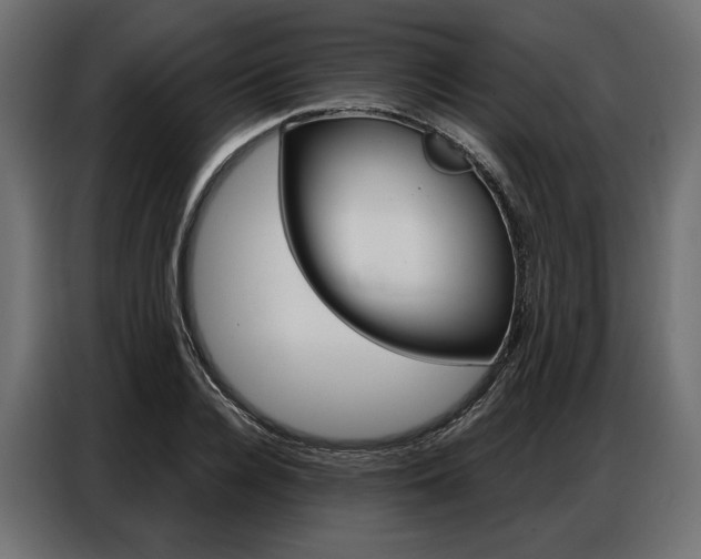 X0000086900936200704160943
