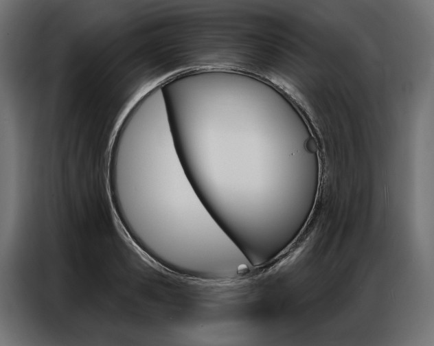 X0000086900941200704160944