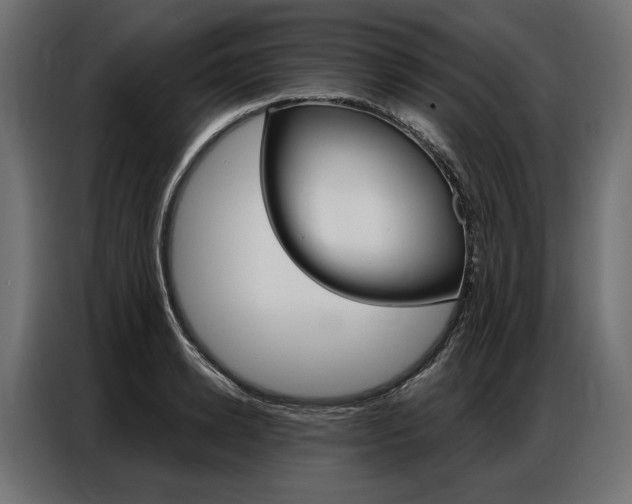 X0000086900942200704160944
