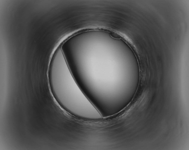X0000086900943200704160944