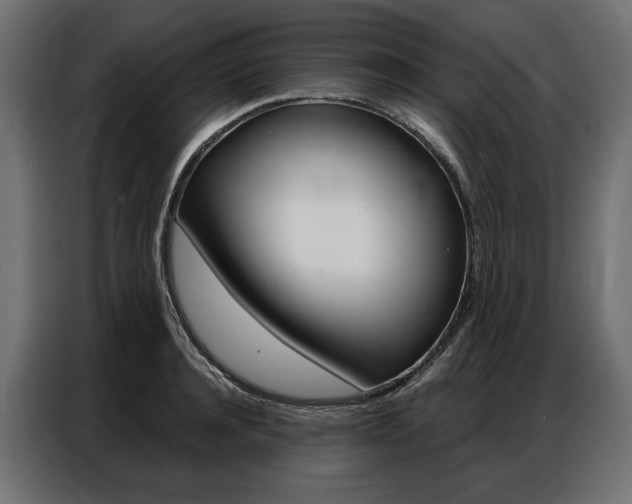 X0000086900944200704160944