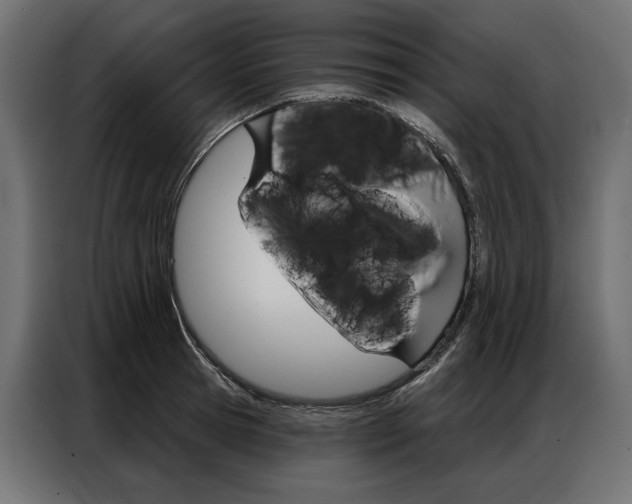 X0000086900945200704160944
