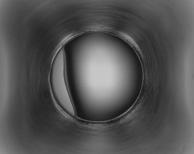 X0000086900946200704160944
