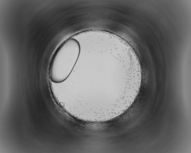 X0000086900950200704160944