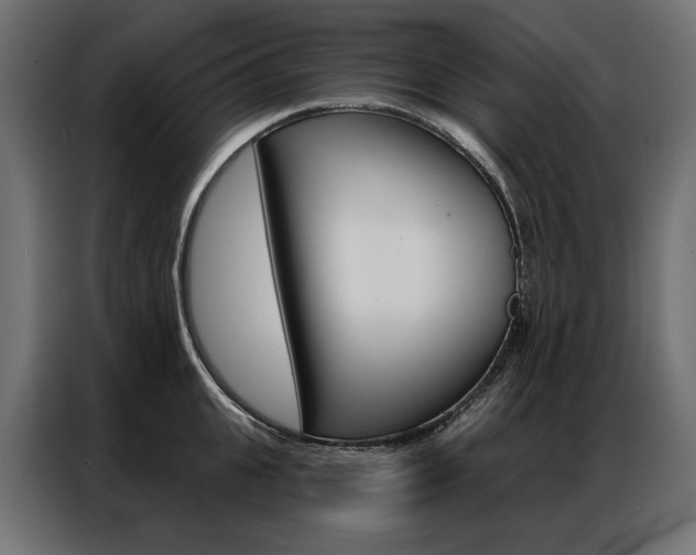 X0000086900951200704160944