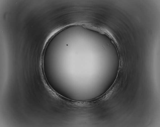 X0000086900952200704160944